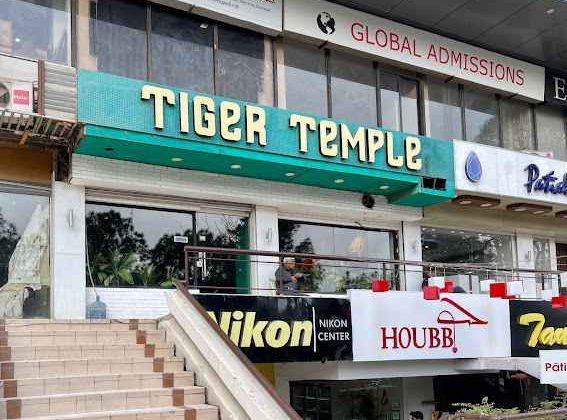 tiger-temple-2